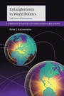 Cover: Entanglements in World Politics - Cambridge University Press