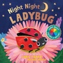 Cover: Night Night Ladybug - Sourcebooks Explore