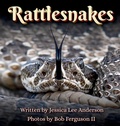Cover: Rattlesnakes - AO Press