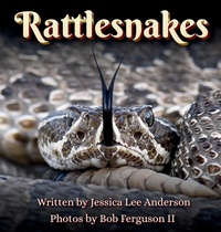 Enlarge image Cover: Rattlesnakes - AO Press