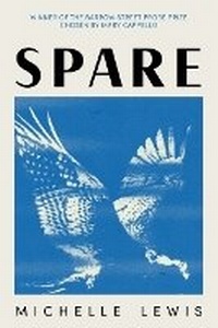 Enlarge image Cover: Spare - Barrow Street
