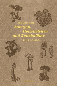 Abbildung von: Samtfuß, Holzstielchen und Zottelmähne - Matthes & Seitz Berlin