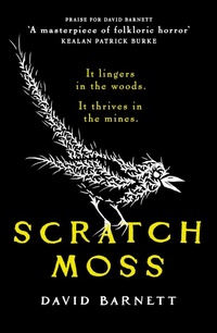 Enlarge image Cover: Scratch Moss - Canelo