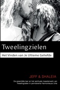 Cover: Tweelingzielen - Twin Flames Universe