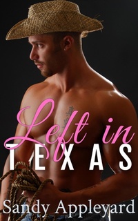 Enlarge image Cover: Left in Texas - Sandy Appleyard