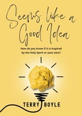 Cover: Seems Like A Good Idea - Terry J Boyle