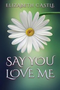Cover: Say You Love Me - In The Air Publishing