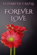 Cover: Forever Love - In The Air Publishing