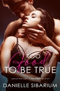 Cover: Too Good to be True - Danielle Sibarium