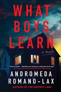 Enlarge image Cover: What Boys Learn - Soho Press