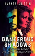 Cover: Dangerous Shadows | A Romantic Thriller (The Orleans Mystique Collection) - Bridgewater & Buchner Publishing Co.