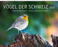 Abbildung von: Vögel der Schweiz 2026 - Weber Verlag AG