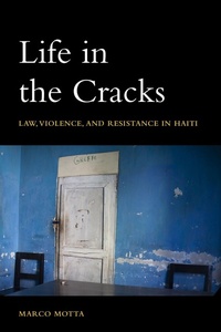 Enlarge image Cover: Life in the Cracks - Fordham University Press