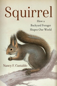 Enlarge image Cover: Squirrel - Island Press