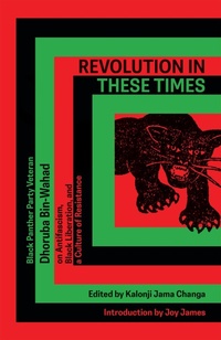 Bild: Revolution In These Times - Common Notions