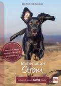 Cover: Immer unter Strom - M&uuml;ller R&uuml;schlikon