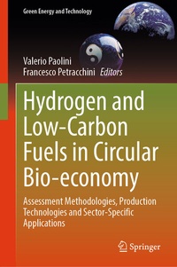 Abbildung von: Hydrogen and Low-Carbon Fuels in Circular Bio-economy - Springer
