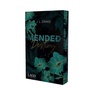 Cover: Mended Destiny - Lago