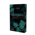 Cover: Mended Destiny - Lago