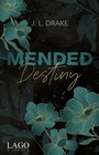 Cover: Mended Destiny - Lago