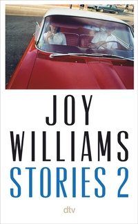 Abbildung von: Stories 2 - dtv