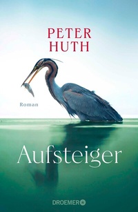 Abbildung von: Aufsteiger - Droemer