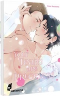 Cover: Your Tears are Priceless - Hayabusa