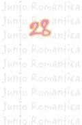 Cover: Junjo Romantica 28 - Carlsen Manga