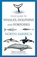 Cover: Field Guide to Whales, Dolphins and Porpoises of North America - Bloomsbury Wildlife