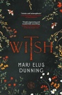 Cover: Witsh - Honno Ltd
