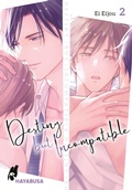 Cover: Destiny but Incompatible 2 - Hayabusa