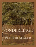 Cover: Sonderlinge - Jazzybee Verlag