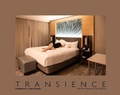 Cover: Danielle L. Goldstein: Transience - Schilt Publishing b.v.