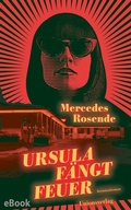 Cover: Ursula f&auml;ngt Feuer - Unionsverlag