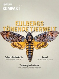 Abbildung von: Spektrum Kompakt - Eulbergs tönende Tierwelt - Spektrum der Wissenschaft