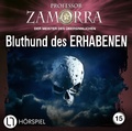 Cover: Professor Zamorra - Folge 15 - L&uuml;bbe Audio