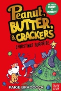 Cover: Christmas Surprise - Nosy Crow Ltd