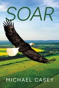 Cover: Soar - BOOKBABY