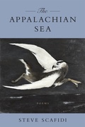 Cover: The Appalachian Sea - LSU Press