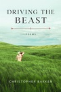 Cover: Driving the Beast - Zando - Hillman Grad Books