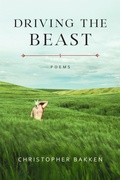 Cover: Driving the Beast - Zando - Hillman Grad Books