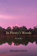 Cover: In Plenty's Woods - Zando - Hillman Grad Books