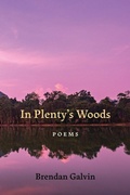 Cover: In Plenty's Woods - Louisiana State University Press