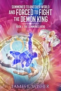 Cover: The Summoned Hero - Sand Hill Publishing