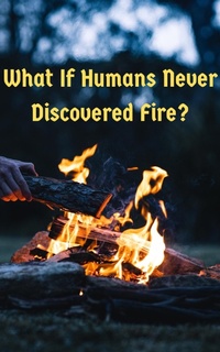 Abbildung von: "What If Humans Never Discovered Fire: A World Without Fire" (WHAT IF SERIES) - Viruti Shivan