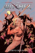 Cover: The Witcher - Panini Verlags GmbH