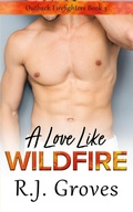 Cover: A Love Like Wildfire - R.J. Groves