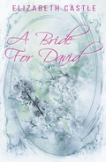 Cover: A Bride For David - In The Air Publishing