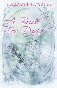 Enlarge image Cover: A Bride For David - In The Air Publishing