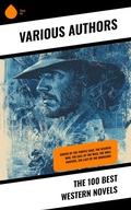 Cover: The 100 Best Western Novels - Sharp Ink